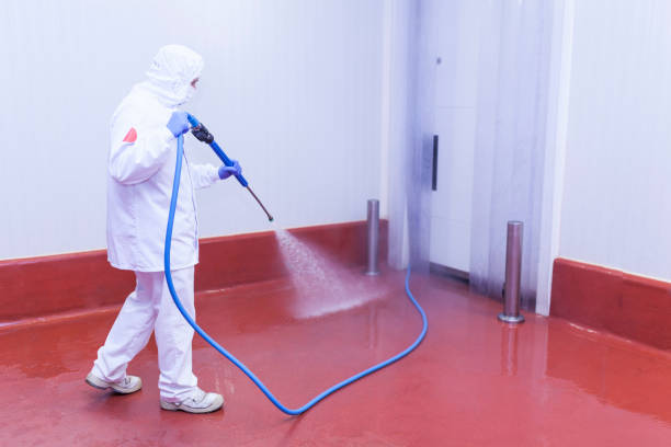 Best Dumpster Area Cleaning  in Forest Park, GA